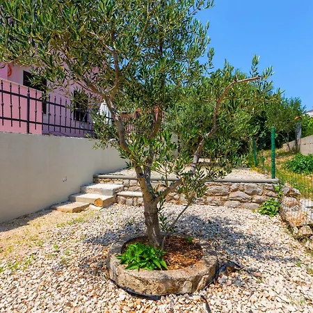 Radic *